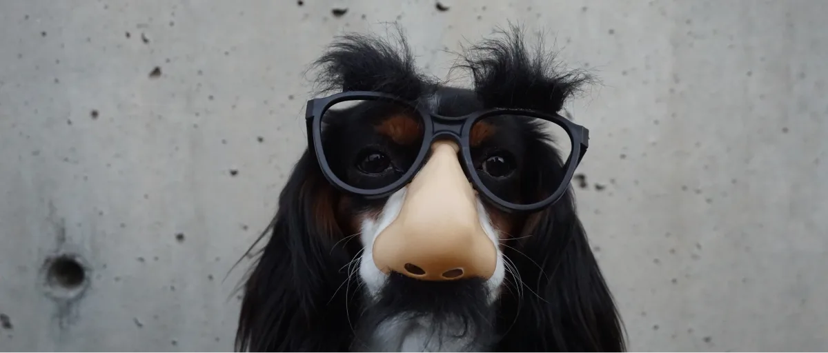 A dog wearing a mask with a big nose