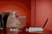 A monkey pushing a laptop off a table