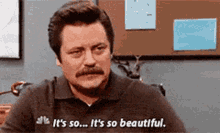 Ron Swanson tearing up, saying "It's so beautiful."
